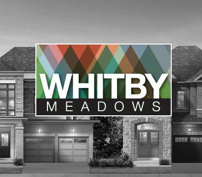Projects, Whitby Meadows